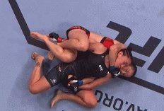 1668346621946061836.gif 1.gif